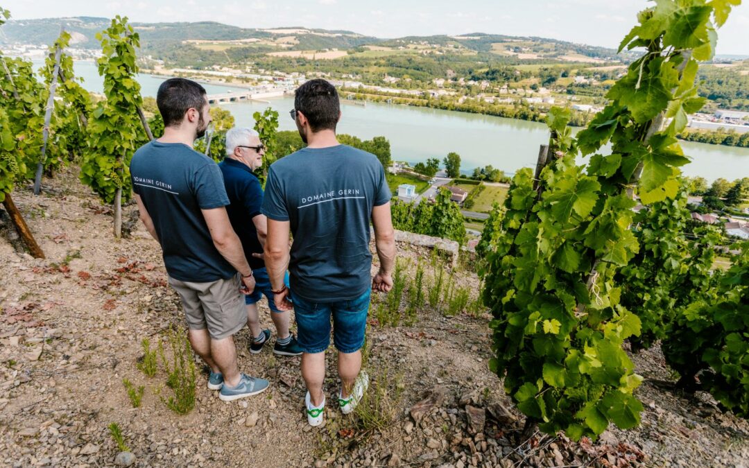 Winemaker JM Gerin and the Transition to His Sons